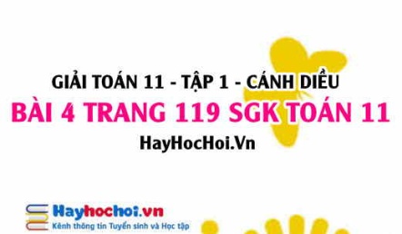 Giải bài 4 trang 119 Toán 11 tập 1 SGK Cánh Diều